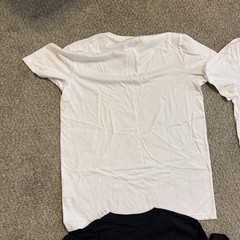 Hollister MUST HAVE Collection Crewneck T Shirts Pack of 6 Mens MEDIUM