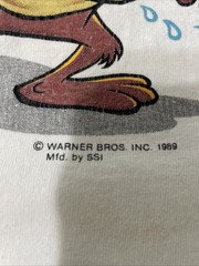 Vtg Tasmanian Devil Taz Looney Tunes Tank Top Med Florida Single Stitch USA Made