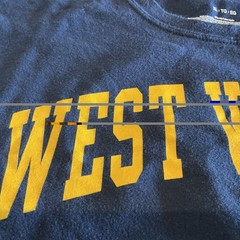 West Virginia University Adult T-Shirt Distressed Primary Logo, Navy, S-5XL