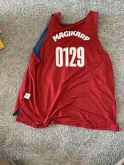 Adult Reversible Jersey Pokemon X Target Collab 30th Gyarados/Magikarp – Large