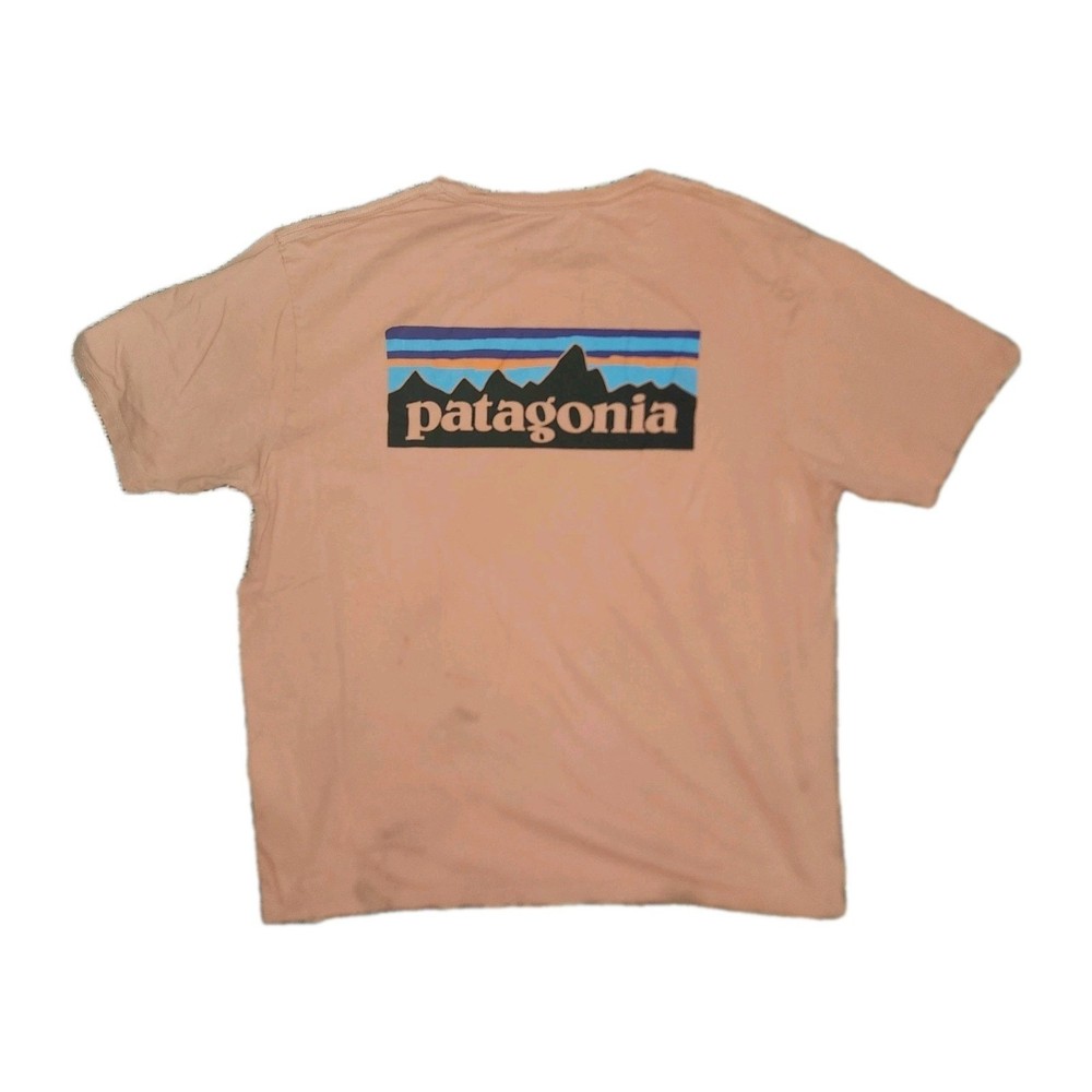 Patagonia P-6 Logo Organic Cotton Tee | Large | Desert Orange Sustainable Flaw