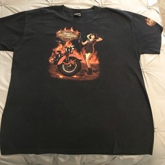 Harley Davidson Motorcycles T Shirt Men’s 2XL Pinup Girl Short Sleeve Distessed