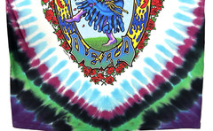Grateful Dead ‘Seasons Of The Dead’ Front/Back Graphic Tie Dye T-Shirt Large New