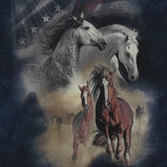 The Mountain Born Free Horses Men’s Graphic Short Sleeve T-Shirt in Navy, Large