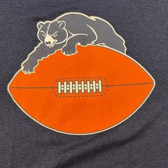 Chicago Bears Shirt Mens L Nike Dri fit NFL Team Football Graphic Tee Retro Logo