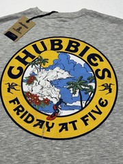 Chubbies The Seal of Approval Graphic Tee Shirt Men’s Size XL Gray NWT New