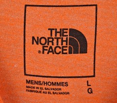 The North Face T-Shirt Men’s L Orange Half Dome Logo Slim Fit Graphic Tee NWT