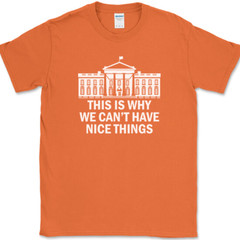 Why We Can’t Have Nice Things T-Shirt Funny Anti Government Political Tee