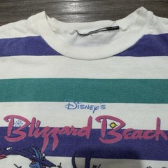 Vintage 90s Disney Blizzard Beach T Shirt Striped Graphic Size XS Water Park AOP