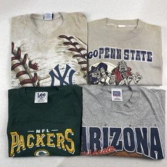 Wholesale Lot of 20 Men’s Sports Tee Shirts (Size Breakdown in Desc)