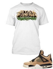 Stay Fresh Graphic Sneaker Sport Tee Shirt Match J4 Cactus Pro Club Shaka T