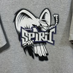 Vintage Springfield Spirit NAHL Hockey T-Shirt Stay Mad XL Tee Aggressive Halo