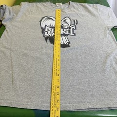 Vintage Springfield Spirit NAHL Hockey T-Shirt Stay Mad XL Tee Aggressive Halo