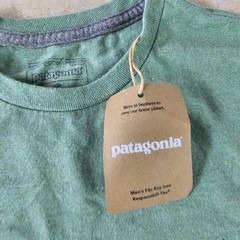 Patagonia Men’s Fitz Roy Tee Green Heather T‑Shit Small NEW