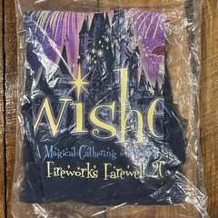 Disney Magic Kingdom Wishes Fireworks Farewell 2017 Passholder Glow in Dark 3XL