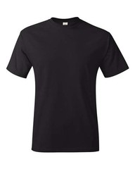 Hanes Unisex Authentic T-Shirt – 5250