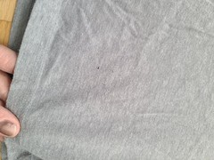 Lot Of 8 Fresh Clean Threads T Shirts Size MEDIUM Crewneck FLAWS, READ!