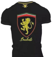 Men’s Cotton T Shirt,Italian Style,Slim Fit,Stretch S to XL…..A15.