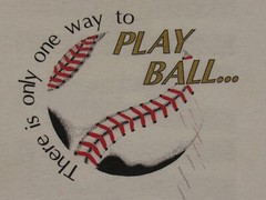 Vtg 1993 PHOENIX Baseball T-SHIRT Mens L Play Ball Hard Arizona 90s Funny Sports