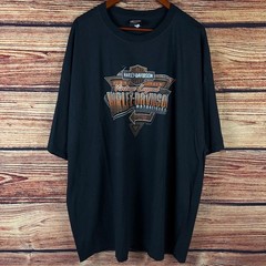 2019 Harley Davidson Motorcycles Vintage Legend 2pc T-shirt Bundle Lot size 4XL