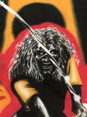 Iron Maiden – Maiden Japan 1982 Raglan Beast on the Road World Tour, S to 3XL
