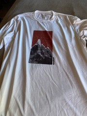 2 Patagonia Performance Base Layer Capilene T Shirt Men’s Size XL White & Photo