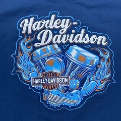 Vintage 2012 Harley Davidson Chandler Arizona Large Skater Baggy Y2K