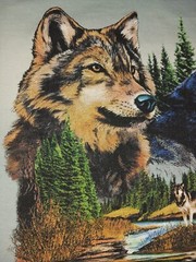 Vintage Wild Side Wolves Wolf T Shirt – Size Large L – Vtg Tee Nature