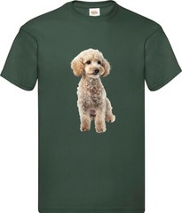Miniature Poodle White Dog Pet Family Novelty T Shirt Various Colours And Sizes