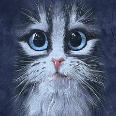The Mountain Cutie Pie Kitten T-Shirt Size M Tie-Dye Blue Eye Cat Face