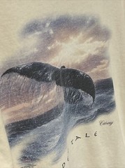 Vtg Anthony Casey GOLDEN TALE Art Whale Graphic T-Shirt Adult Size XL