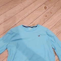 Hollister Men’s M Blue Long Sleeve Crew Neck Seagull Logo Cotton Jersey Tee