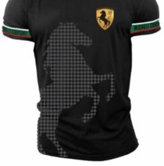 Men’s Bucheli T Shirt,Italian Style,Cotton,Slim Fit,Stretch 2XL….A28.A