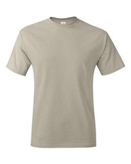 Hanes Unisex Authentic T-Shirt