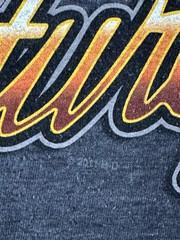 Harley Davidson Sturgis South Dakota Shirt 3XL Dark Gray Waterfall Deer 2011