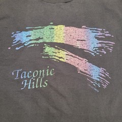 Vintage 80s Taconic Hills Rainbow Shirt L/XL 22×27 USA