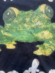 Vintage Silverchair Frog stomp Tour T-shirt Unisex Tee Extra Large Rock Pop