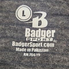 Badger Sport 4972 Graphic T Shirt Mens Large Raglan Short Sleeve Striped Gray