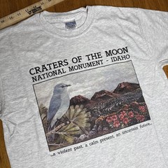 Craters Of The Moon National Monument Idaho Y2K Scenic Bird T Shirt Size Medium