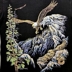 VTG 1995 Gardner Black Sz L EAGLE Graphic T-Shirt 90s NATURE EUC
