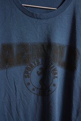 Arnold Classic Mens Sports T-Shirt Blue – Size XL (e50)