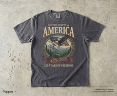 America 250th Anniversary 90s Graphic Style Comfort Colors Tshirt FREESHIP