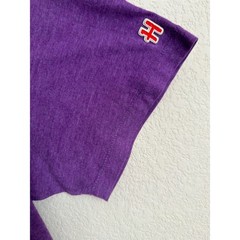 HOMAGE Sacramento Kings Slamson The Lion T-Shirt M Royal Purple Tri-Blend