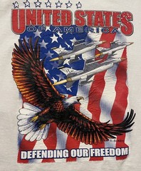 United States USA Defending Our Freedom Military Air Waves Air Force T-Shirt XL