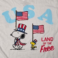 Peanuts Snoopy And Woodstock USA America – Licensed Cartoon T Shirt – Unisex L