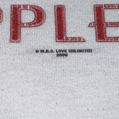 Vintage NYC New York Big Apple Shirt Unisex Large Fruit of the Loom 2000 Y2K