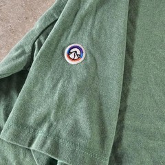 Patagonia Men’s Fitz Roy Tee Green Heather T‑Shit Small NEW
