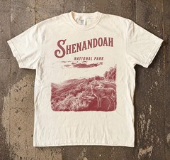 Shenandoah National Park Virginia Mountains Hiking Outdoors Comfort Tee