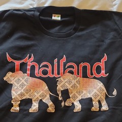 Colour Takingness Elephant Graphic Print Black Cotton Men’s T-Shirt Size I