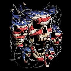 Patriotic Skulls (oversized) Tee You Choose Style, Size, Color Up to 4XL 10083